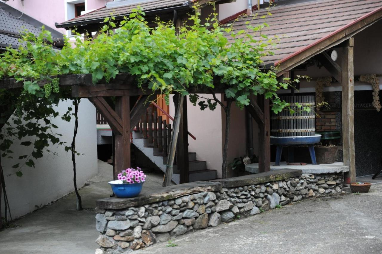 Wellness B&B Winery Sontacchi Kutjevo Exterior foto